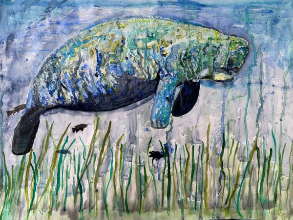 Manatee
