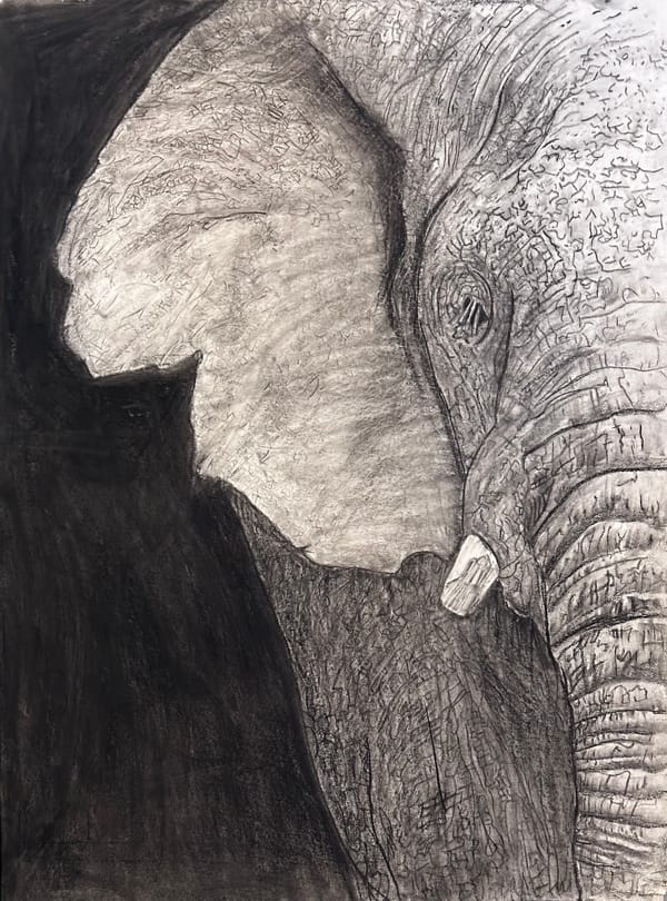 1/2 Elephant